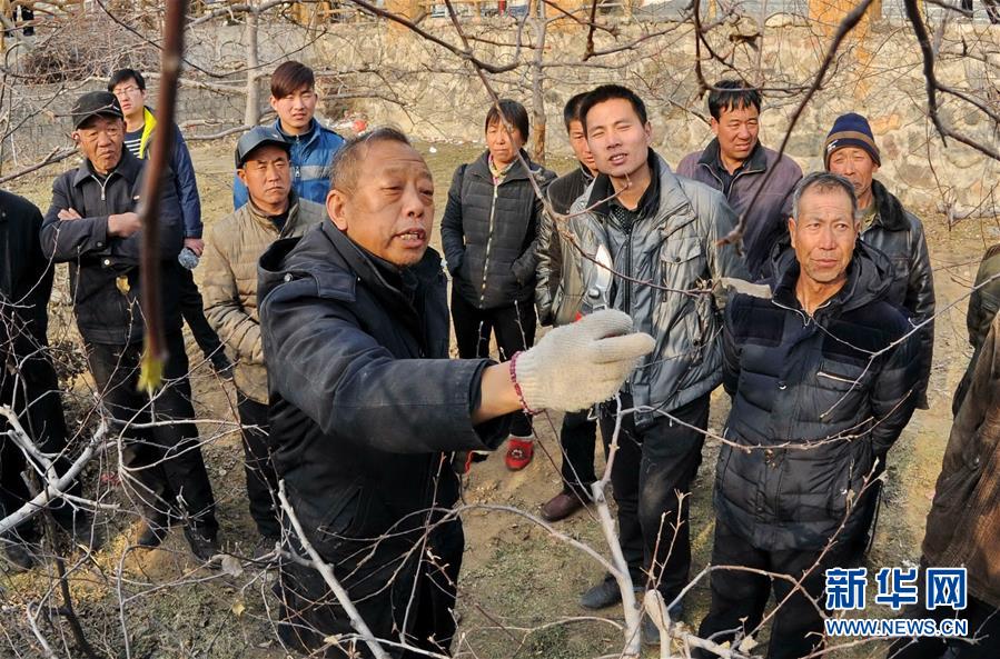 （新華全媒頭條·圖文互動）（8）鍛造領航復興的中流砥柱——寫在“不忘初心、牢記使命”主題教育即將啟動之際