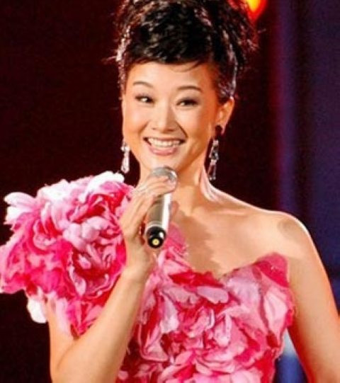宋祖英貴氣亮相 盤(pán)點(diǎn)宋祖英從清純少女變高貴夫人